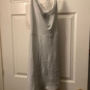 Sliver dress